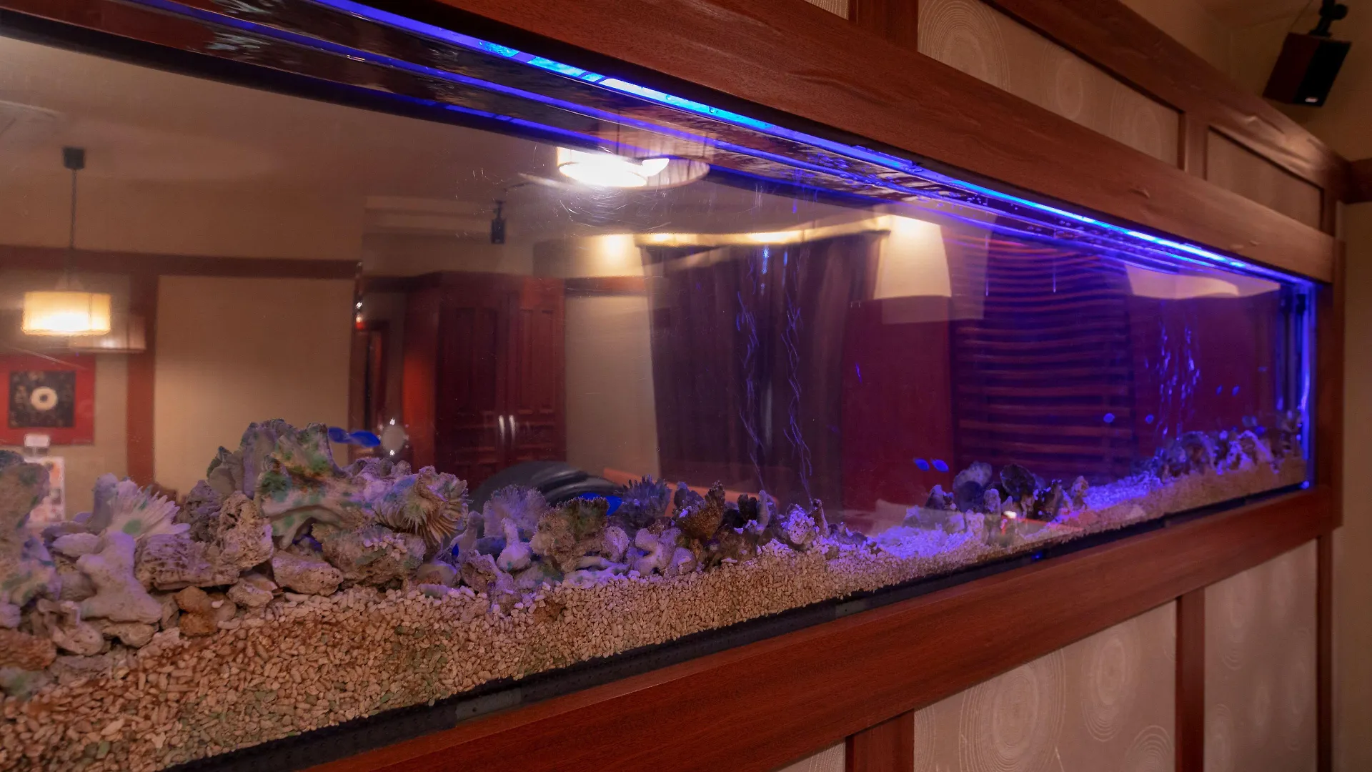 ホテル　アンド　スパ　ロータス（大人専用） 京都市